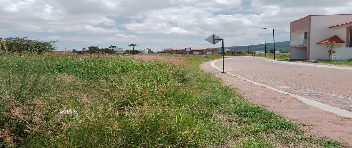 Foto de terreno habitacional en , la venta, lagos de moreno, jalisco, 0 foto 05 Foto de terreno habitacional en venta en , la venta, lagos de moreno, jalisco, 0 No. 05