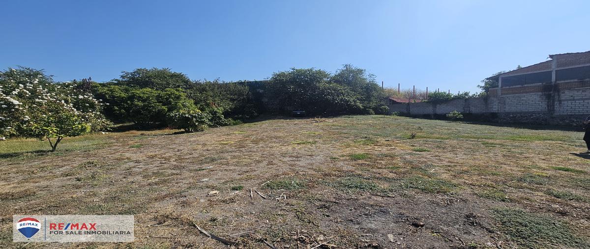 Foto de terreno comercial en la ventana , el pedregal, xochitepec, morelos, 29011970 foto 03 Foto de terreno comercial en venta en la ventana , el pedregal, xochitepec, morelos, 29011970 No. 03