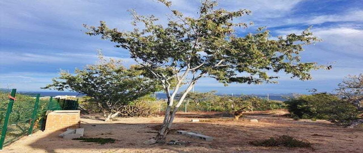Foto de terreno habitacional en venta en la ventana , el sargento, la paz, baja california sur, 0 No. 01