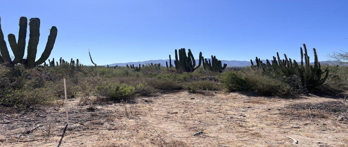 Foto de terreno habitacional en venta en  , la ventana, la paz, baja california sur, 27961871 No. 04