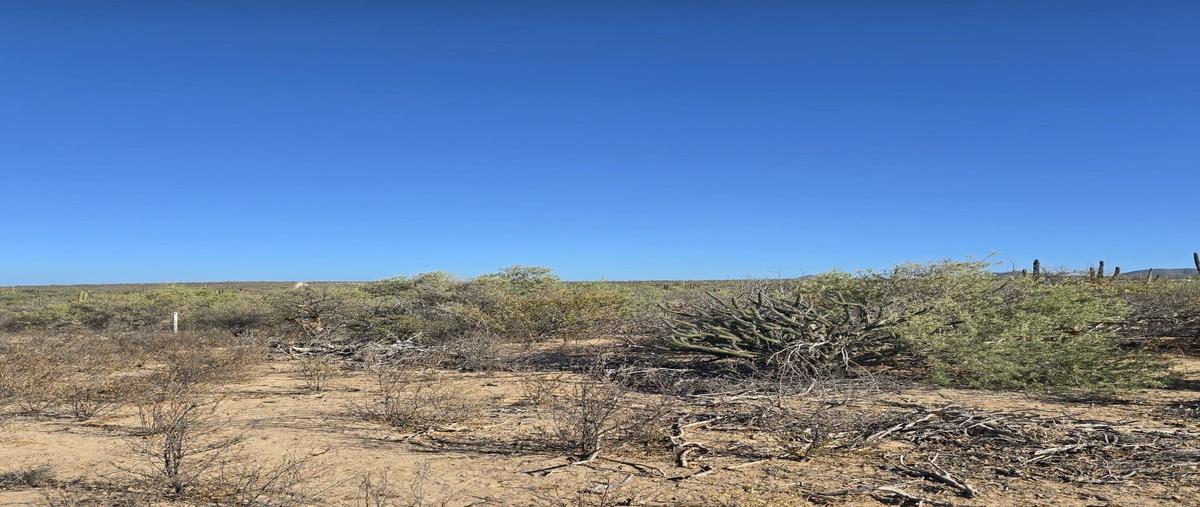 Foto de terreno habitacional en venta en  , la ventana, la paz, baja california sur, 0 No. 03