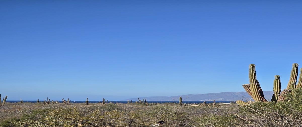 Foto de terreno habitacional en venta en  , la ventana, la paz, baja california sur, 0 No. 04