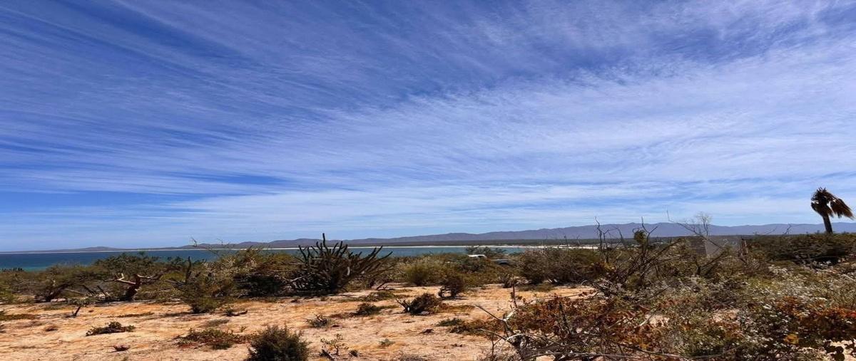 Foto de terreno habitacional en venta en  , la ventana, la paz, baja california sur, 0 No. 02
