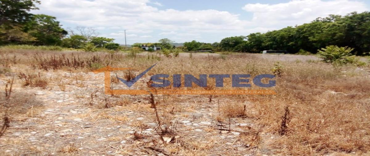 Foto de terreno habitacional en , la victoria kilómetro 47, papantla, veracruz de ignacio de la llave, 0 foto 05 Foto de terreno habitacional en venta en , la victoria kilómetro 47, papantla, veracruz de ignacio de la llave, 0 No. 05