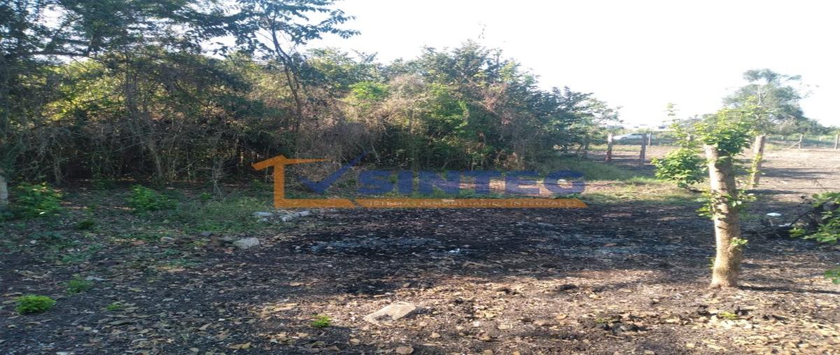 Foto de terreno habitacional en venta en  , la victoria kilómetro 47, papantla, veracruz de ignacio de la llave, 0 No. 04