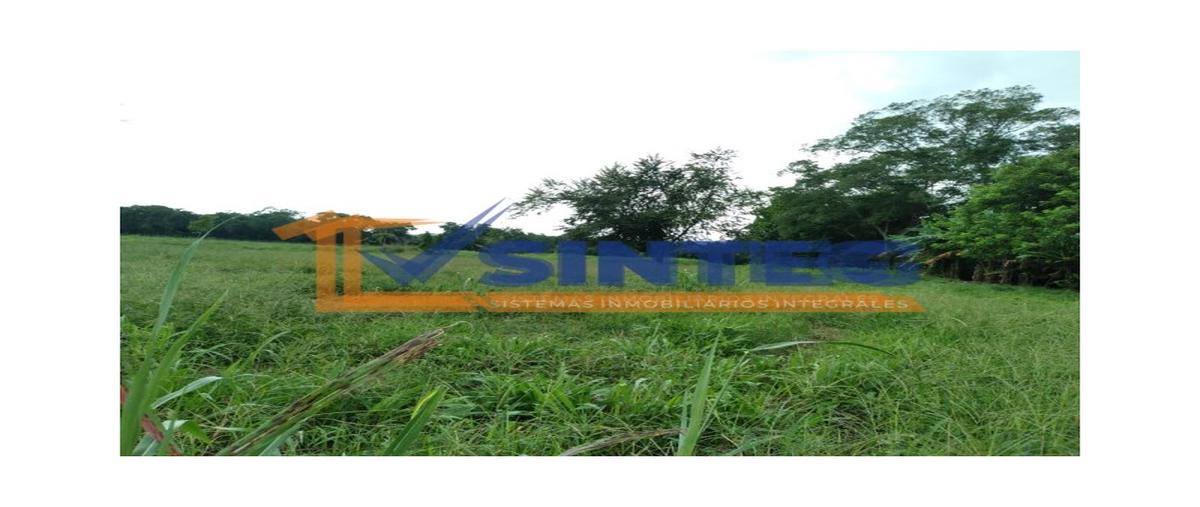 Foto de terreno habitacional en venta en  , la victoria kilómetro 47, papantla, veracruz de ignacio de la llave, 0 No. 03