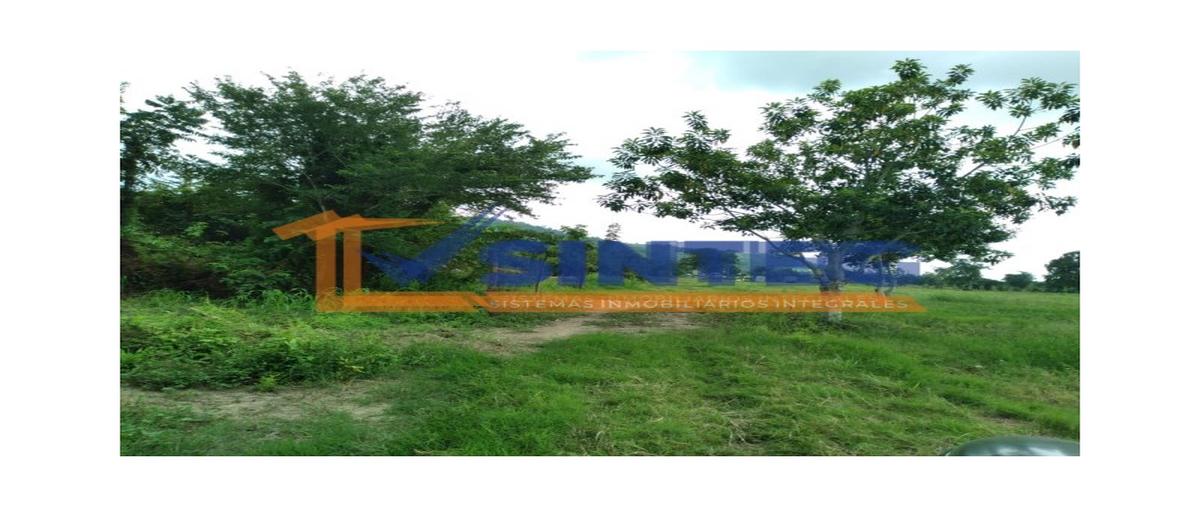 Foto de terreno habitacional en venta en  , la victoria kilómetro 47, papantla, veracruz de ignacio de la llave, 0 No. 04