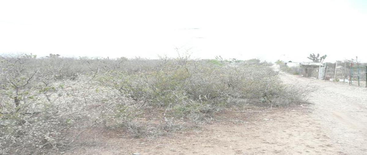 Foto de terreno habitacional en venta en  , la victoria, salinas victoria, nuevo león, 7475763 No. 03