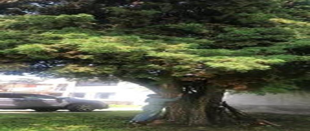 Foto de terreno habitacional en , la virgen, metepec, méxico, 0 foto 04 Foto de terreno habitacional en venta en , la virgen, metepec, méxico, 0 No. 04