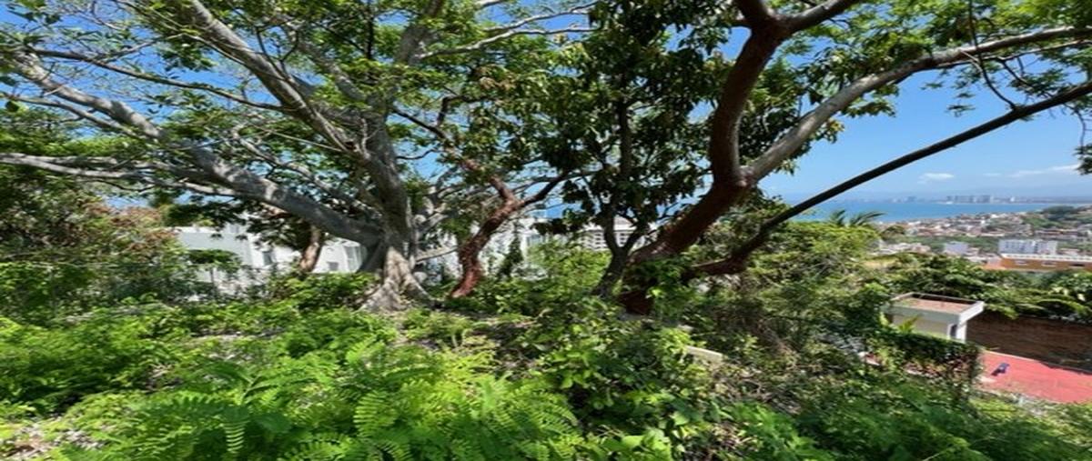 Foto de terreno comercial en , la vista, puerto vallarta, jalisco, 25821411 foto 02 Foto de terreno comercial en venta en , la vista, puerto vallarta, jalisco, 25821411 No. 02