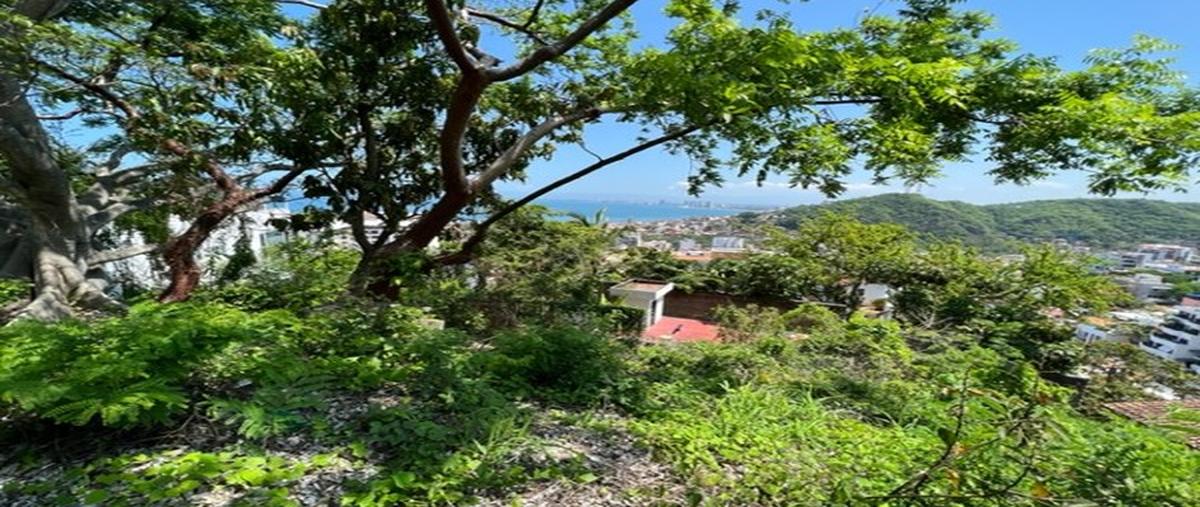 Foto de terreno comercial en , la vista, puerto vallarta, jalisco, 25821411 foto 04 Foto de terreno comercial en venta en , la vista, puerto vallarta, jalisco, 25821411 No. 04