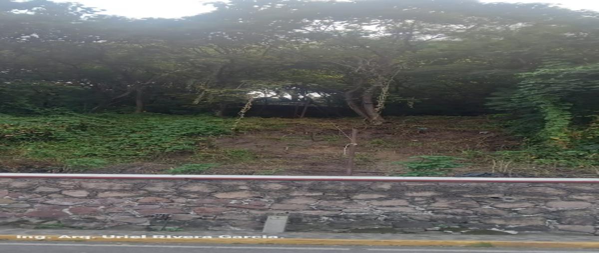 Foto de terreno habitacional en venta en  , la vista, taxco de alarcón, guerrero, 0 No. 04