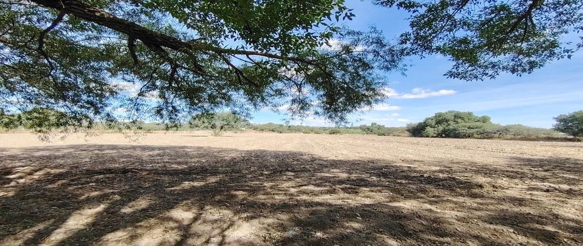 Foto de terreno habitacional en venta en  , la vivienda de arriba, san miguel de allende, guanajuato, 28909913 No. 04