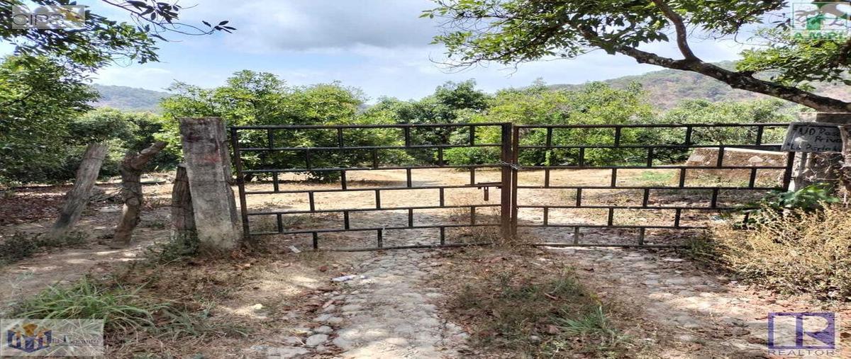 Foto de terreno habitacional en venta en la yerba 16, la yerba, tepic, nayarit, 0 No. 03