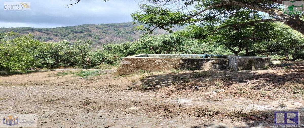 Foto de terreno habitacional en venta en la yerba 16, la yerba, tepic, nayarit, 0 No. 04
