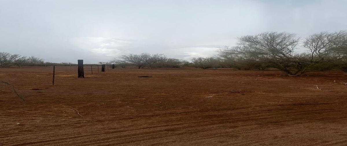 Foto de terreno habitacional en venta en  , la yesca, hermosillo, sonora, 0 No. 03