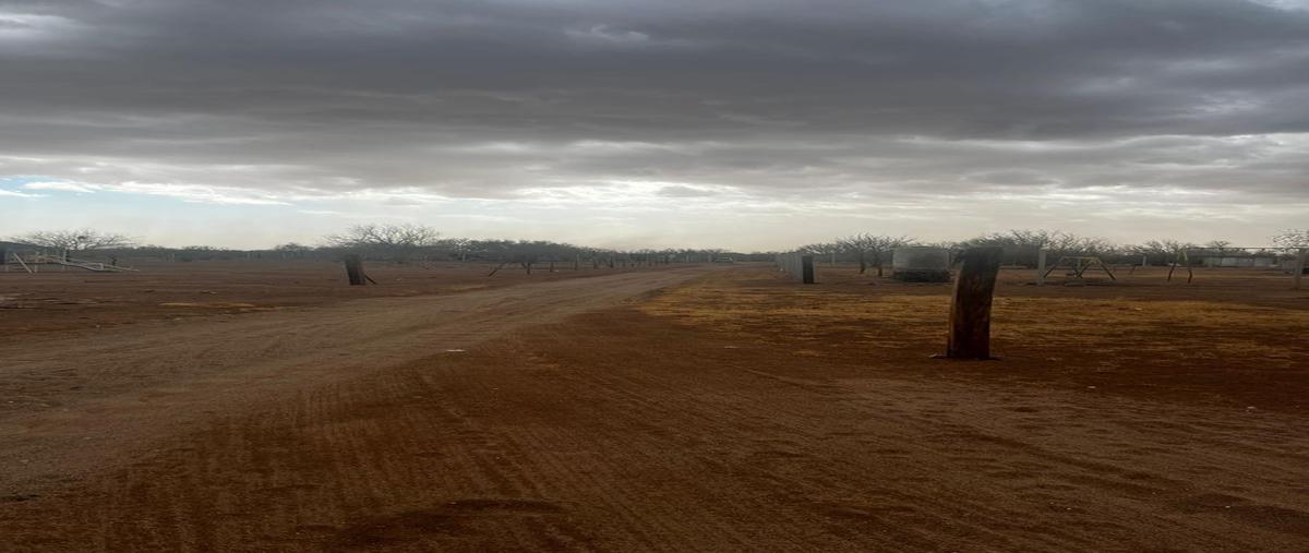 Foto de terreno habitacional en venta en  , la yesca, hermosillo, sonora, 0 No. 05