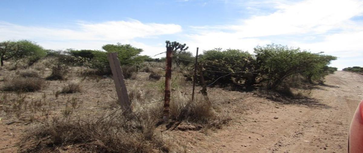 Foto de terreno comercial en venta en la zacatecana , zacatecana, guadalupe, zacatecas, 0 No. 03