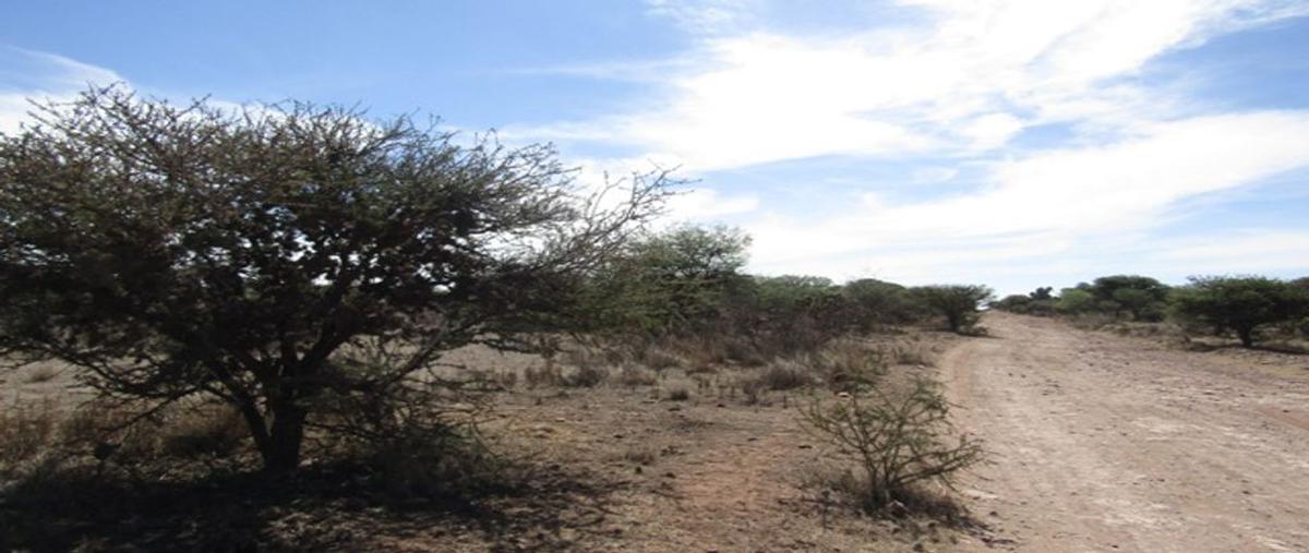 Foto de terreno comercial en venta en la zacatecana , zacatecana, guadalupe, zacatecas, 0 No. 05