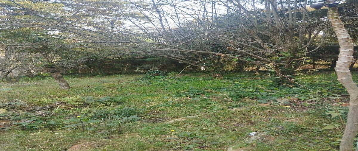 Foto de terreno habitacional en venta en la zandunga , villa del carbón, villa del carbón, méxico, 0 No. 04