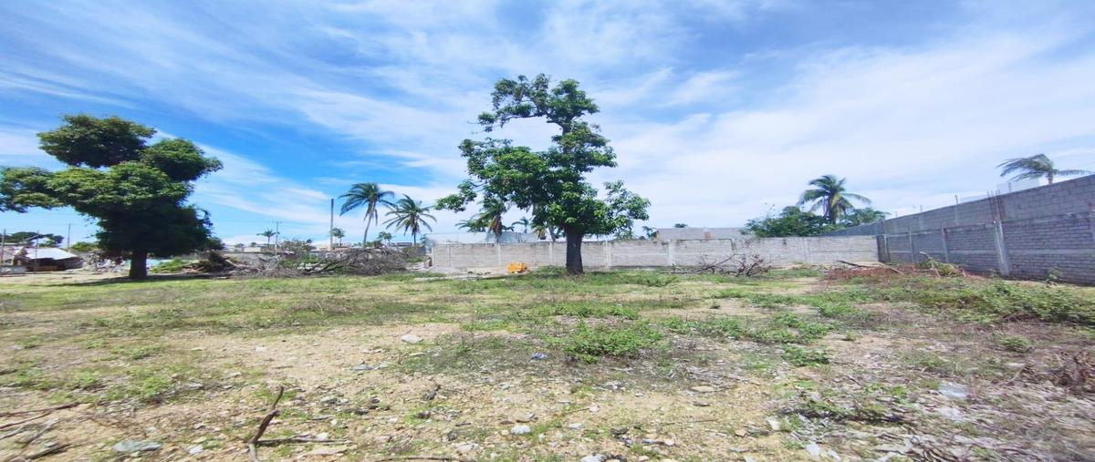 Foto de terreno habitacional en , la zanja o la poza, acapulco de juárez, guerrero, 0 foto 05 Foto de terreno habitacional en venta en , la zanja o la poza, acapulco de juárez, guerrero, 0 No. 05