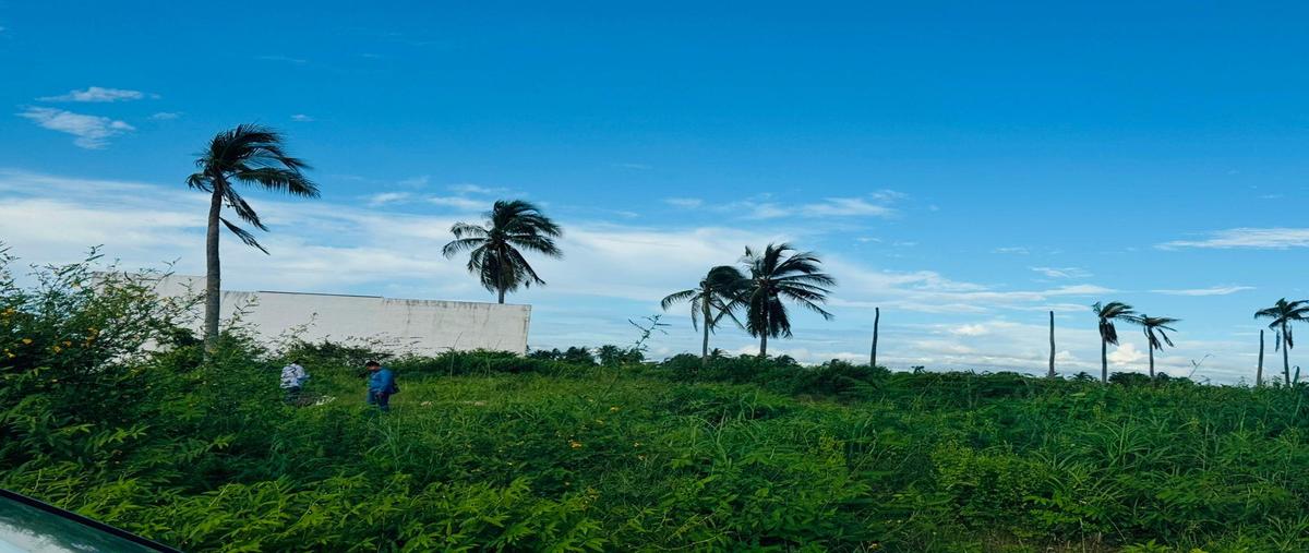 Foto de terreno habitacional en , la zanja o la poza, acapulco de juárez, guerrero, 0 foto 04 Foto de terreno habitacional en venta en , la zanja o la poza, acapulco de juárez, guerrero, 0 No. 04