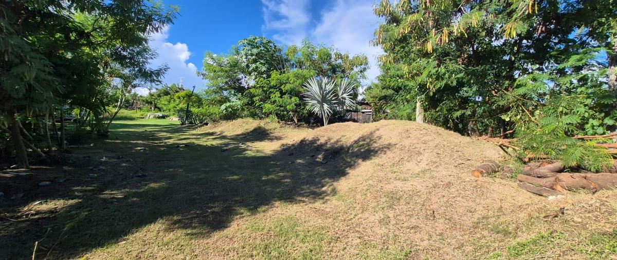 Foto de terreno habitacional en venta en  , la zanja o la poza, acapulco de juárez, guerrero, 0 No. 04