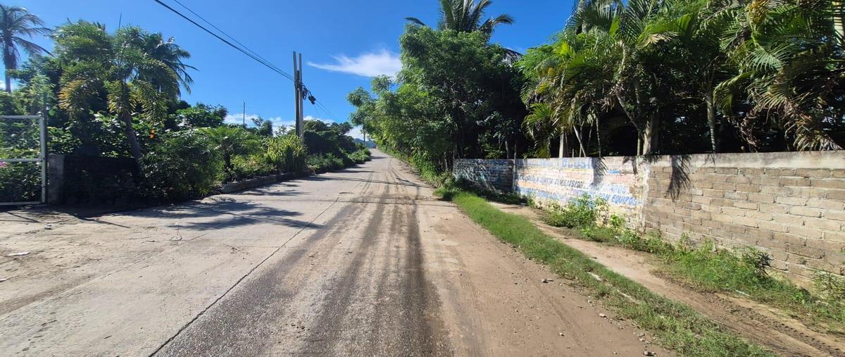 Foto de terreno habitacional en venta en  , la zanja o la poza, acapulco de juárez, guerrero, 0 No. 05