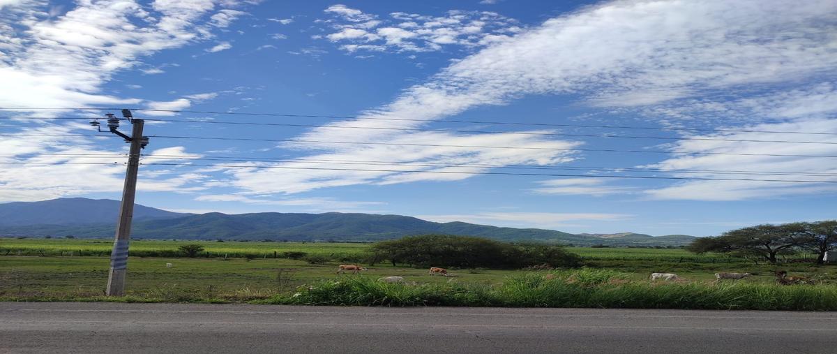 Foto de terreno habitacional en venta en  , labor de medina, san martín hidalgo, jalisco, 25218099 No. 03