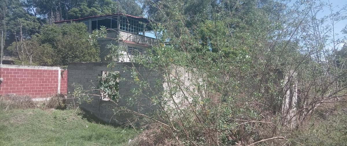 Foto de terreno habitacional en venta en  , ladera, chimalhuacán, méxico, 0 No. 04