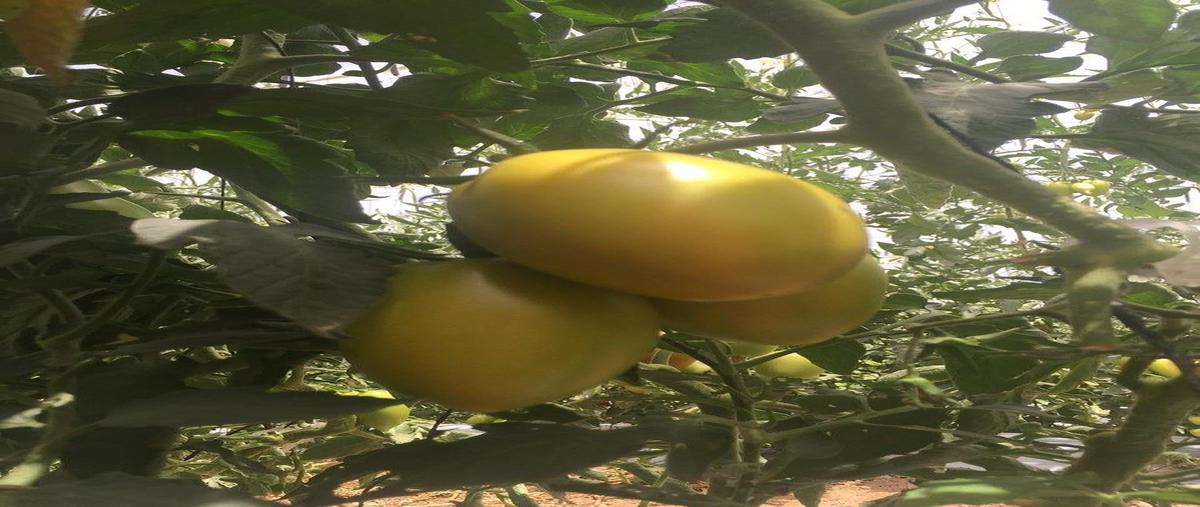 Foto de rancho en venta en lado santa rita del muerto , nuevo ramos arizpe, ramos arizpe, coahuila de zaragoza, 0 No. 05