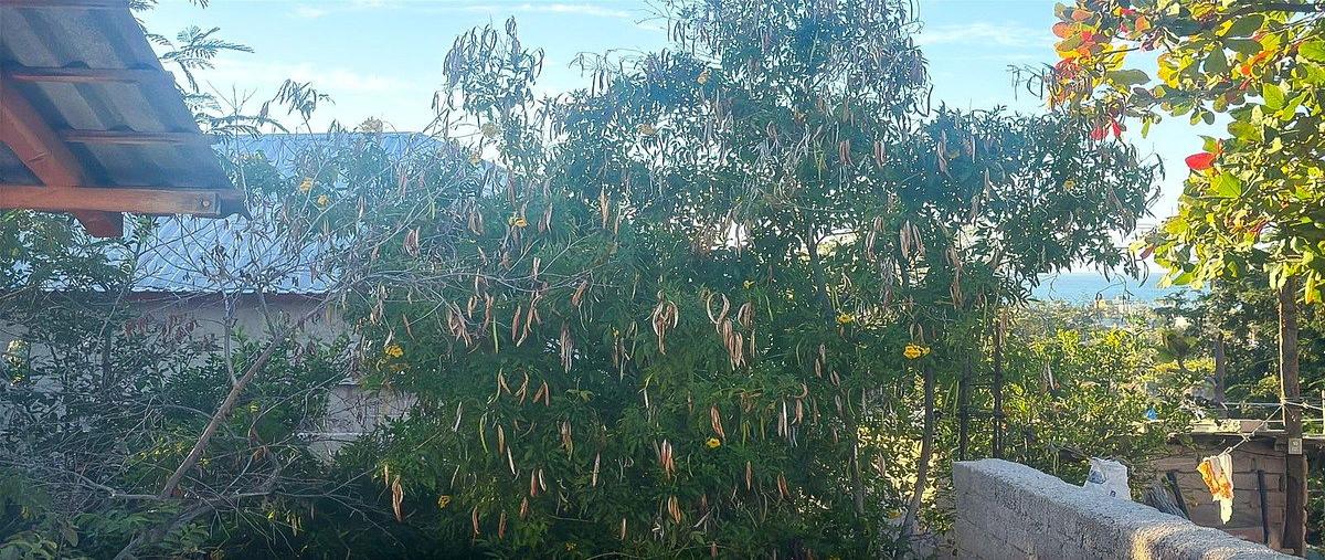 Foto de casa en venta en  , ladrillera, la paz, baja california sur, 0 No. 05