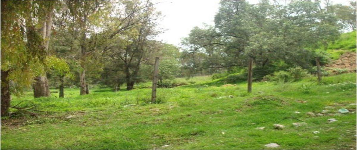 Foto de terreno habitacional en , lago de guadalupe, cuautitlán izcalli, méxico, 7039315 foto 03 Foto de terreno habitacional en venta en , lago de guadalupe, cuautitlán izcalli, méxico, 7039315 No. 03