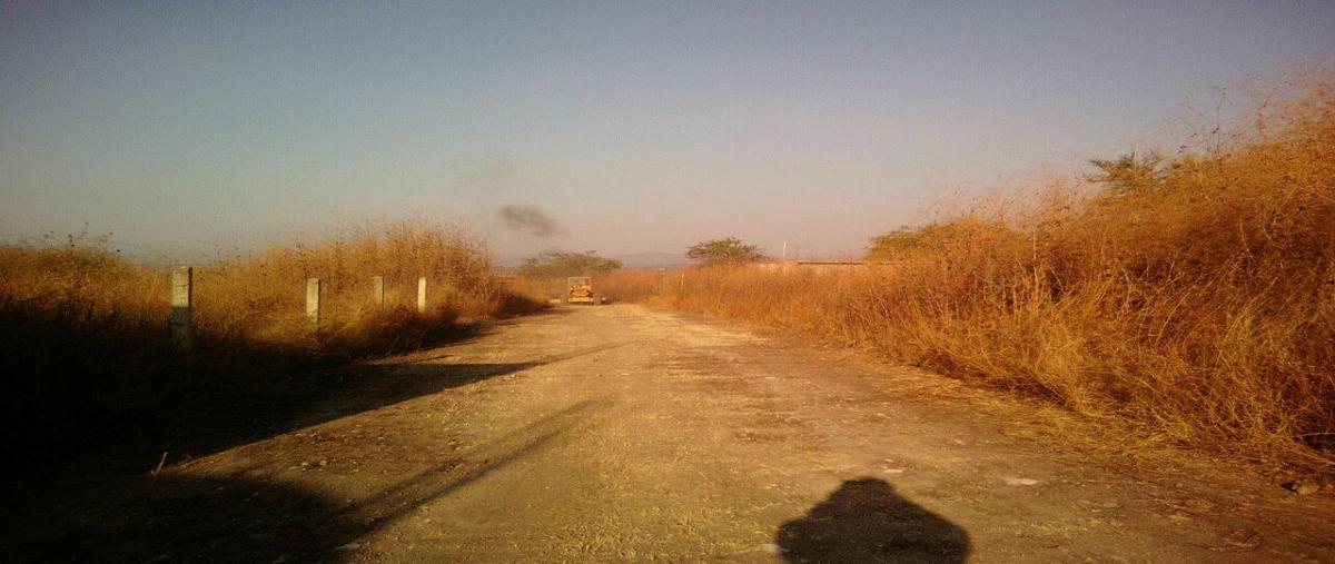 Foto de terreno habitacional en venta en lago de tequesquitengo , san josé vista hermosa, puente de ixtla, morelos, 15362879 No. 03