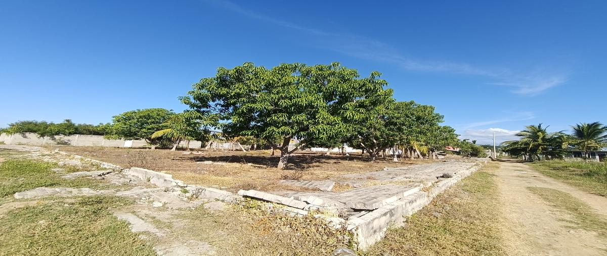Foto de terreno habitacional en lago dorado , pedregoso, acapulco de juárez, guerrero, 21856628 foto 01 Foto de terreno habitacional en venta en lago dorado , pedregoso, acapulco de juárez, guerrero, 21856628 No. 01