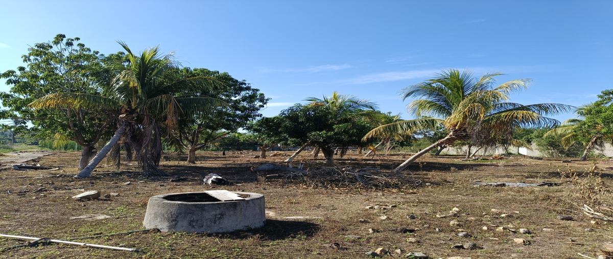 Foto de terreno habitacional en lago dorado , pedregoso, acapulco de juárez, guerrero, 21856628 foto 03 Foto de terreno habitacional en venta en lago dorado , pedregoso, acapulco de juárez, guerrero, 21856628 No. 03