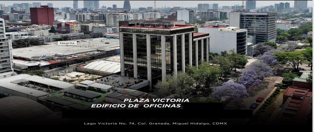 Foto de local en renta en lago victoria , granada, miguel hidalgo, df / cdmx, 0 No. 05