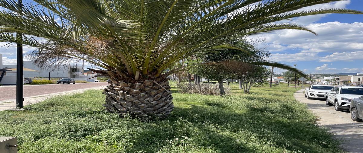 Foto de terreno habitacional en venta en lago ziraguen , cumbres del lago, querétaro, querétaro, 0 No. 05