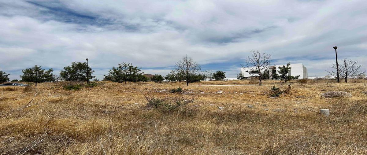 Foto de terreno habitacional en venta en  , lagos de moreno, lagos de moreno, jalisco, 26348804 No. 05