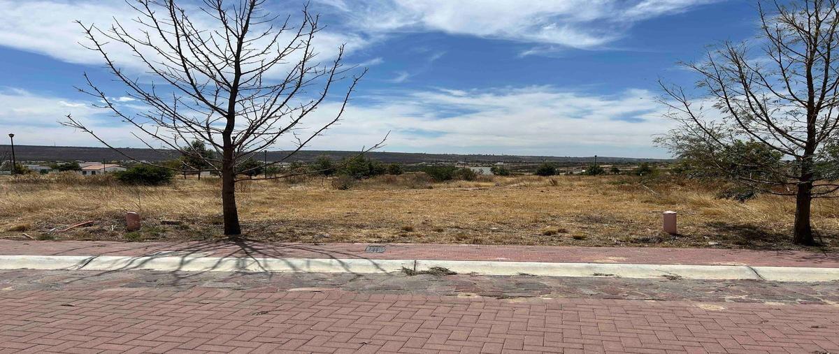 Foto de terreno habitacional en venta en  , lagos de moreno, lagos de moreno, jalisco, 26348804 No. 06