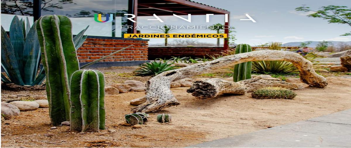Foto de terreno habitacional en venta en  , lagos de moreno, lagos de moreno, jalisco, 0 No. 03