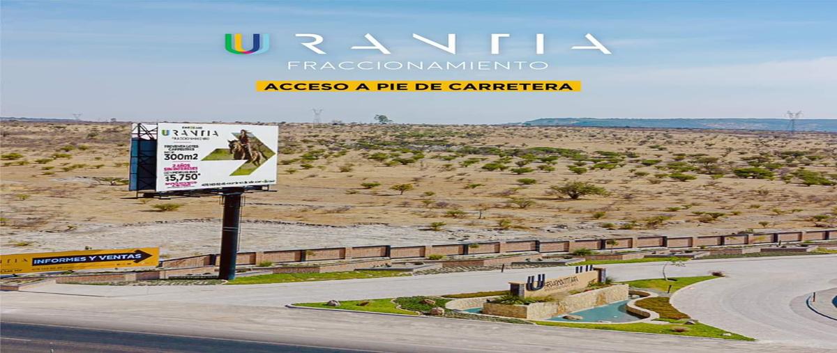 Foto de terreno habitacional en venta en  , lagos de moreno, lagos de moreno, jalisco, 0 No. 04