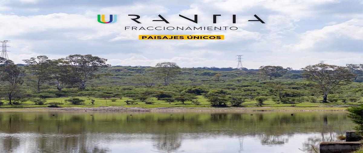 Foto de terreno habitacional en venta en  , lagos de moreno, lagos de moreno, jalisco, 0 No. 05
