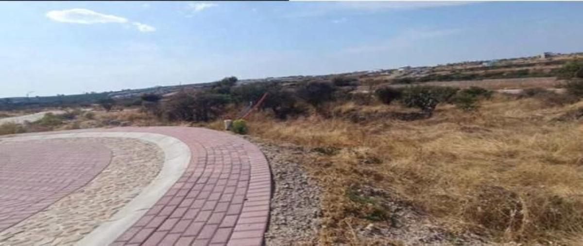 Foto de terreno habitacional en venta en  , lagos de moreno, lagos de moreno, jalisco, 0 No. 03