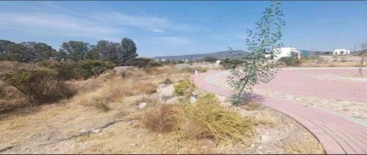 Foto de terreno habitacional en venta en  , lagos de moreno, lagos de moreno, jalisco, 0 No. 04