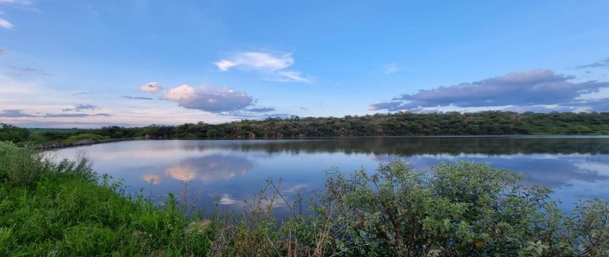 Foto de terreno habitacional en venta en  , lagos de moreno, lagos de moreno, jalisco, 0 No. 03