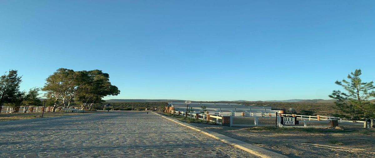 Foto de terreno habitacional en venta en  , lagos de moreno, lagos de moreno, jalisco, 0 No. 05
