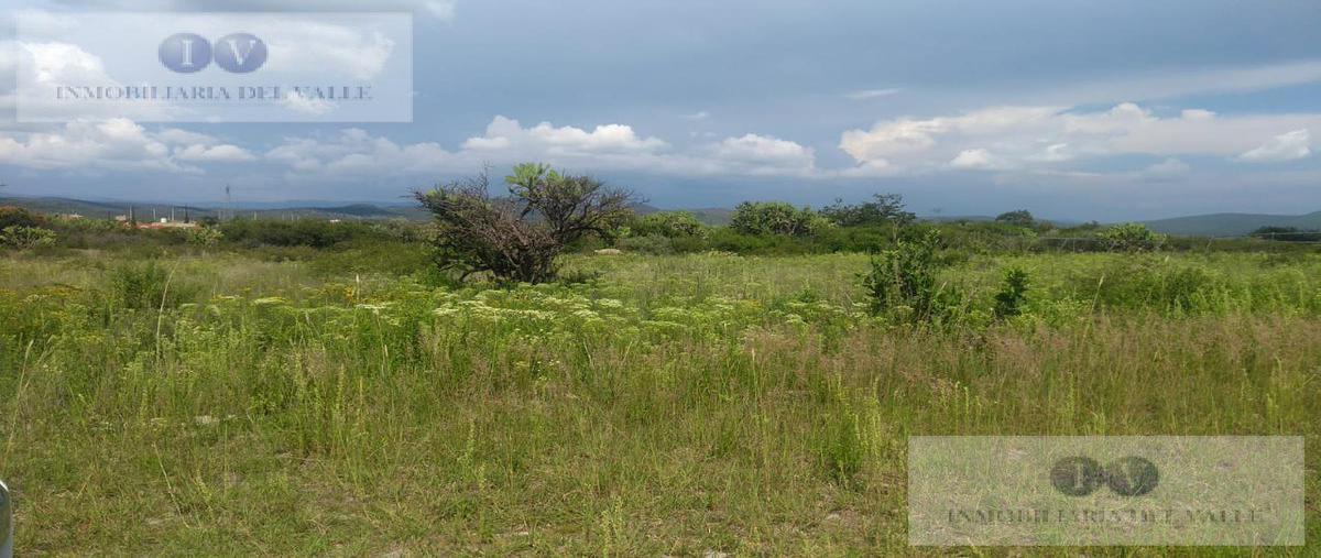 Foto de terreno habitacional en venta en  , lagos de moreno, lagos de moreno, jalisco, 9244063 No. 04