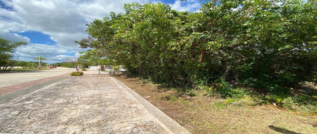 Foto de terreno habitacional en venta en  , lagos del sol, benito juárez, quintana roo, 0 No. 05