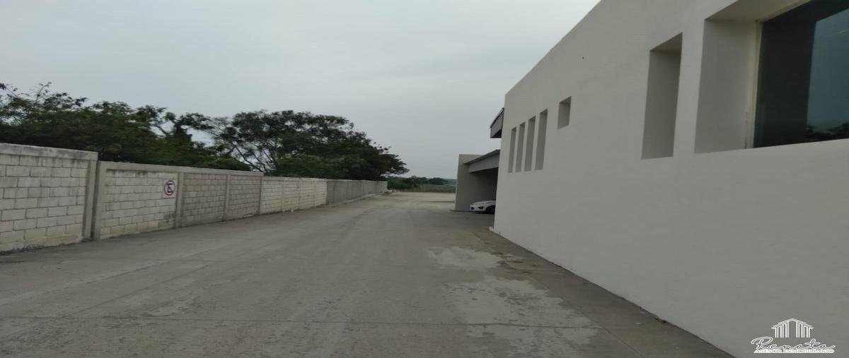 Foto de oficina en renta en  , laguna de la puerta, tampico, tamaulipas, 0 No. 03